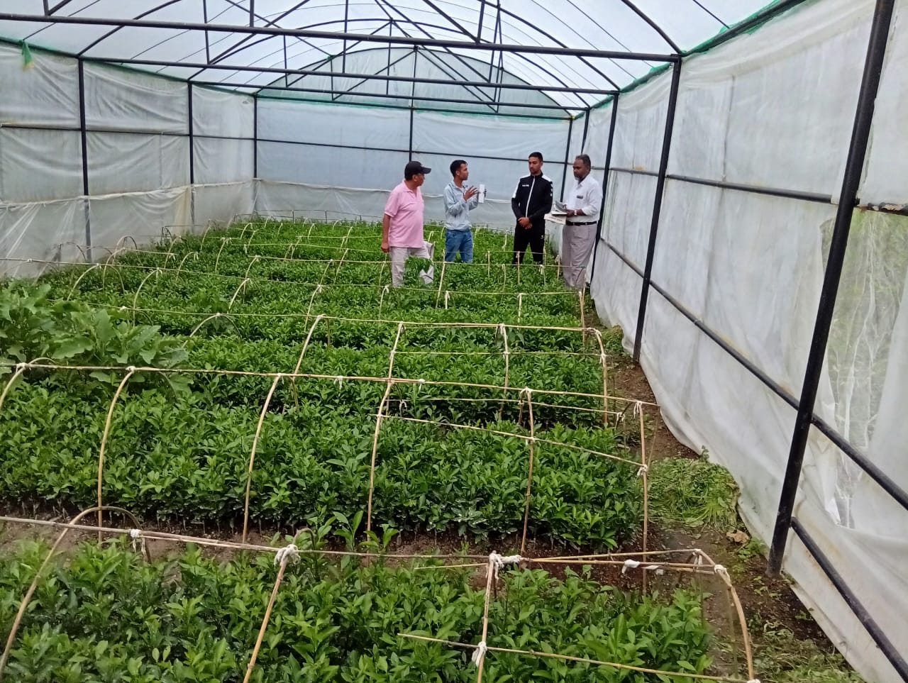 Nursery Field Verification